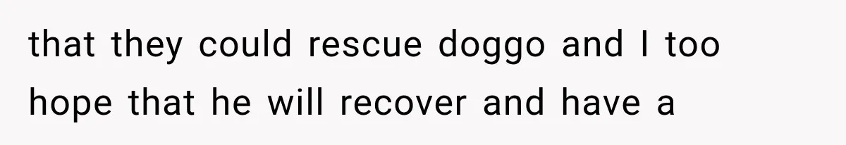 that they could rescue doggo and I too hope that he will recover and have a