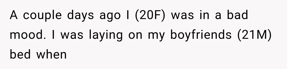 A couple days ago I (20F) was in a bad mood. I was laying on my boyfriends (21M) bed when