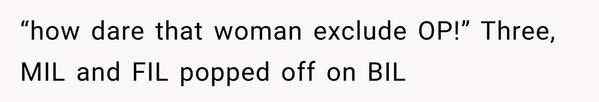 “how dare that woman exclude OP!” Three, MIL and FIL popped off on BIL