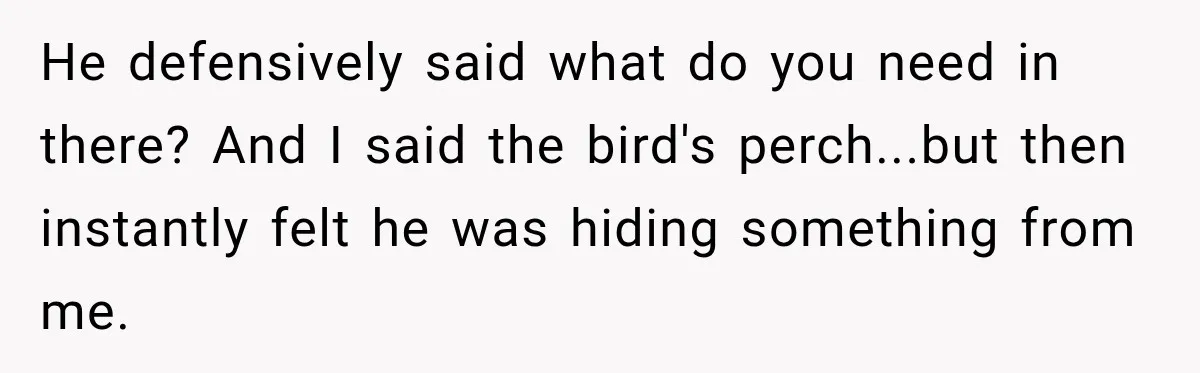 He defensively said what do you need in there? And I said the bird's perch...but then instantly felt he was hiding something from me.