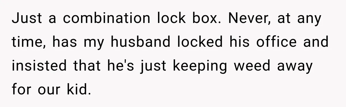 Just a combination lock box. Never, at any time, has my husband locked his office and insisted that he's just keeping weed away for our kid.
