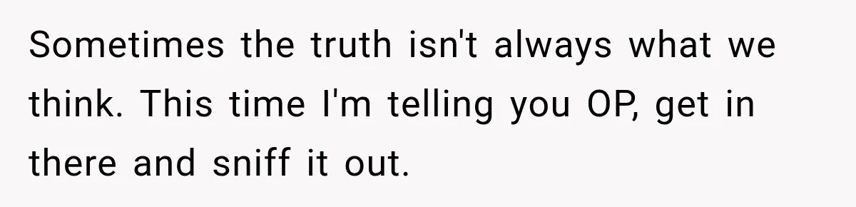 Sometimes the truth isn't always what we think. This time I'm telling you OP, get in there and sniff it out.