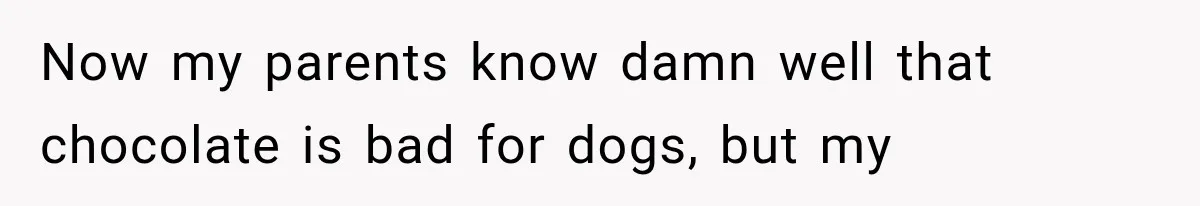Successful Woman Refuses to Fund Her Siblings’ Kids After They Call Her “Selfish” Now my parents know damn well that chocolate is bad for dogs, but my
