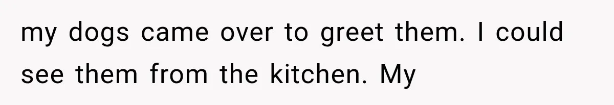 Successful Woman Refuses to Fund Her Siblings’ Kids After They Call Her “Selfish” my dogs came over to greet them. I could see them from the kitchen. My