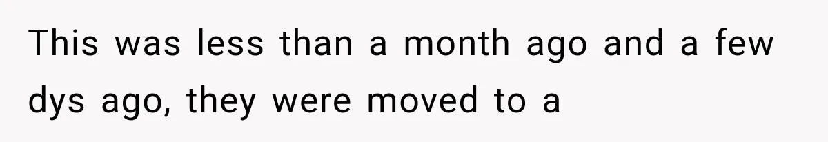 Successful Woman Refuses to Fund Her Siblings’ Kids After They Call Her “Selfish” This was less than a month ago and a few dys ago, they were moved to a