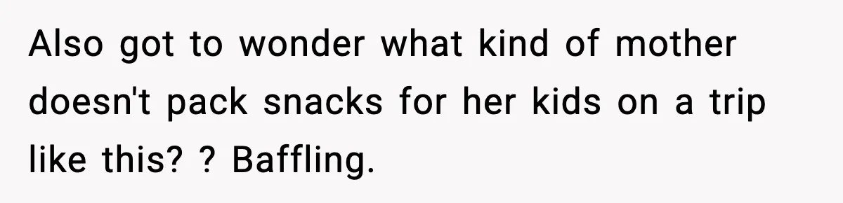 Mom Brings Lunch for Everyone, Then Gets Blamed for Not Letting One Child Eat All the Crackers Also got to wonder what kind of mother doesn't pack snacks for her kids on a trip like this? ? Baffling.