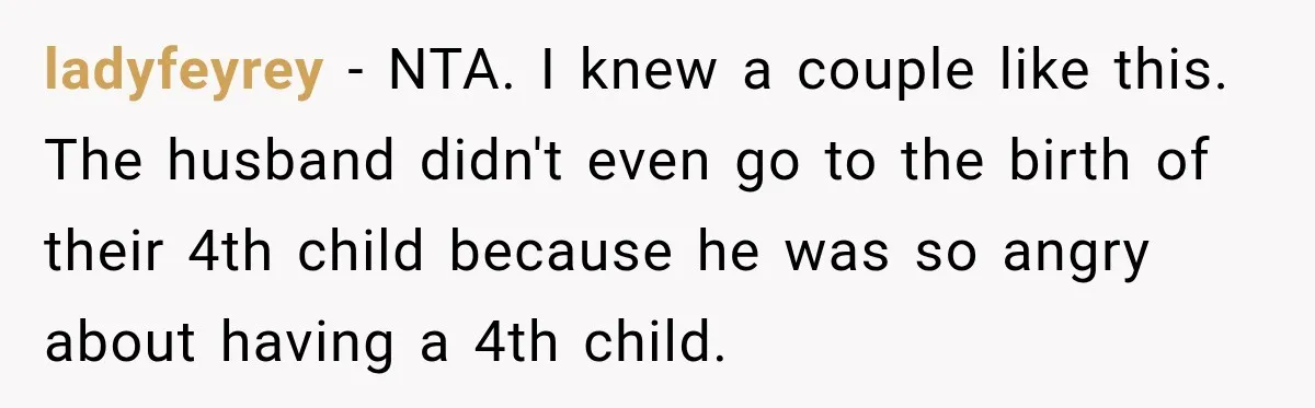 ladyfeyrey − NTA. I knew a couple like this. The husband didn't even go to the birth of their 4th child because he was so angry about having a 4th...