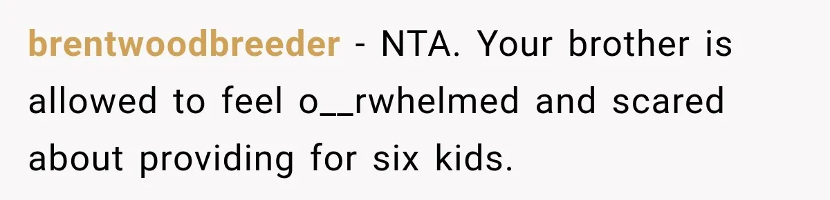 brentwoodbreeder − NTA. Your brother is allowed to feel o__rwhelmed and scared about providing for six kids.