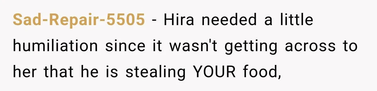 Sad-Repair-5505 − Hira needed a little humiliation since it wasn't getting across to her that he is stealing YOUR food,