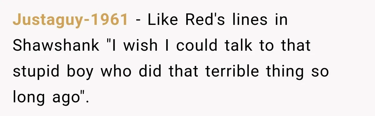 Justaguy-1961 − Like Red's lines in Shawshank "I wish I could talk to that stupid boy who did that terrible thing so long ago".