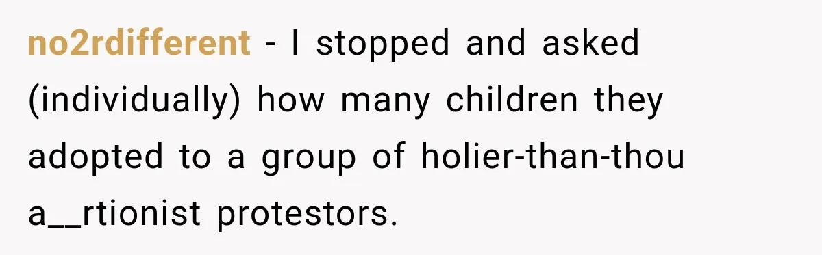 no2rdifferent − I stopped and asked (individually) how many children they adopted to a group of holier-than-thou a__rtionist protestors.
