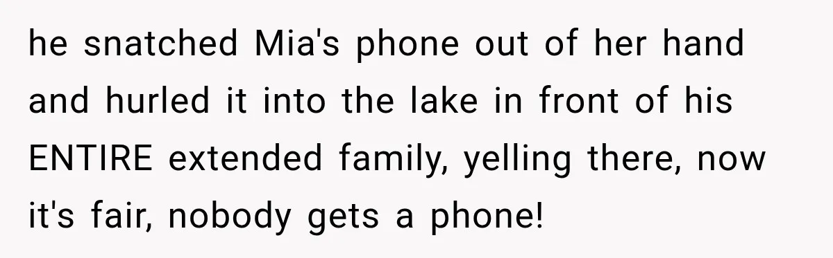 Husband Throws Stepdaughter’s Phone Into a Lake to “Make Things Fair,” Wife Walks Out of the Reunion he snatched Mia's phone out of her hand and hurled it into the lake in front of his ENTIRE extended family, yelling there, now it's fair, nobody gets a phone!