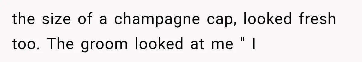 Newlyweds Refused to Show ID at Hotel, Then Their Wedding Night Turned Into a Disaster the size of a champagne cap, looked fresh too. The groom looked at me " I