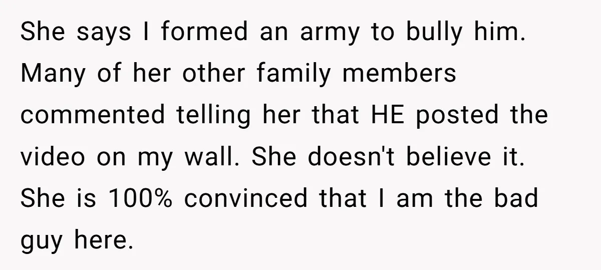 She says I formed an army to bully him. Many of her other family members commented telling her that HE posted the video on my wall. She doesn't believe it....