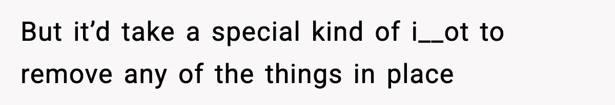 But it’d take a special kind of i__ot to remove any of the things in place