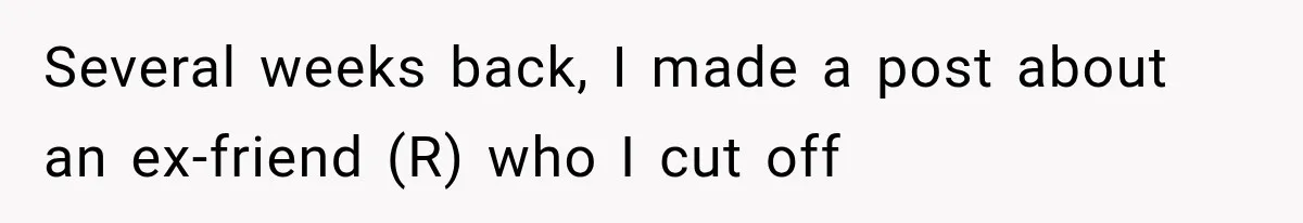Several weeks back, I made a post about an ex-friend (R) who I cut off