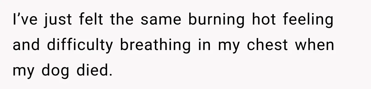 I’ve just felt the same burning hot feeling and difficulty breathing in my chest when my dog died.