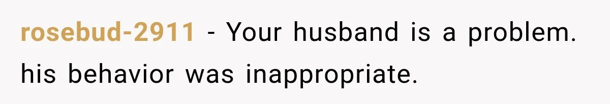Husband Makes Their Nanny Quit After Repeatedly Crossing Boundaries She Clearly Set rosebud-2911 − Your husband is a problem. his behavior was inappropriate.