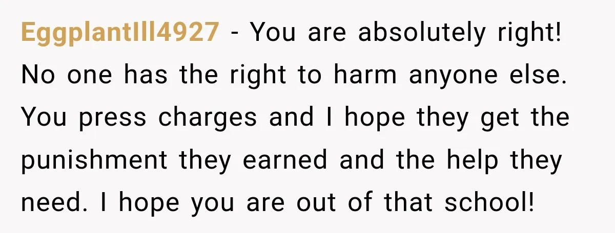 EggplantIll4927 − You are absolutely right! No one has the right to harm anyone else. You press charges and I hope they get the punishment they earned and the help...