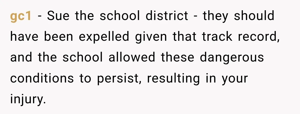 gc1 − Sue the school district - they should have been expelled given that track record, and the school allowed these dangerous conditions to persist, resulting in your injury.