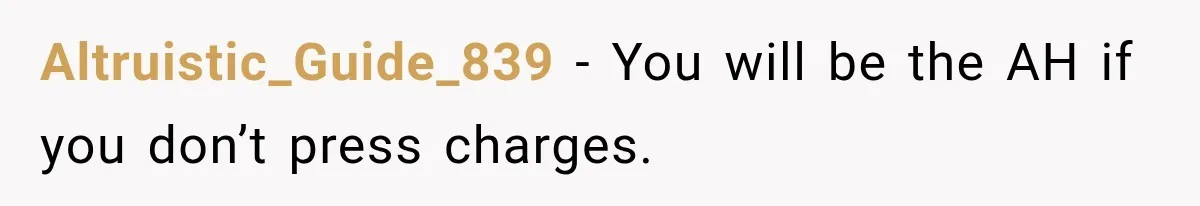 Altruistic_Guide_839 − You will be the AH if you don’t press charges.