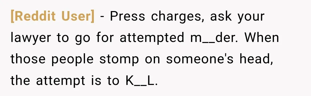 [Reddit User] − Press charges, ask your lawyer to go for attempted m__der. When those people stomp on someone's head, the attempt is to K__L.