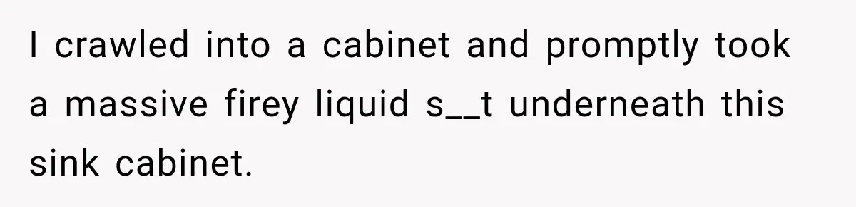 I crawled into a cabinet and promptly took a massive firey liquid s__t underneath this sink cabinet.
