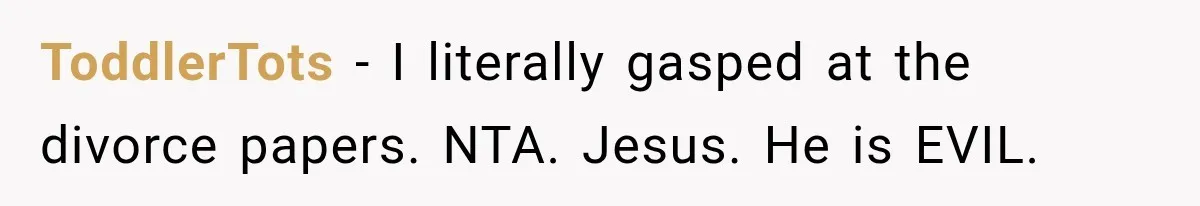 ToddlerTots − I literally gasped at the divorce papers. NTA. Jesus. He is EVIL.