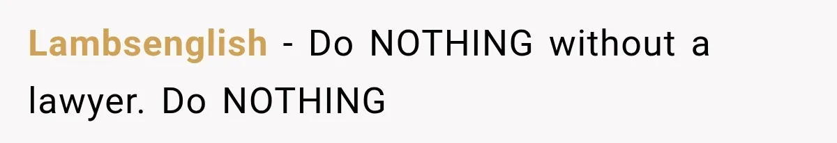 Lambsenglish − Do NOTHING without a lawyer. Do NOTHING