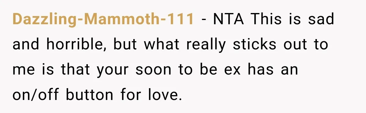 Dazzling-Mammoth-111 − NTA This is sad and horrible, but what really sticks out to me is that your soon to be ex has an on/off button for love.