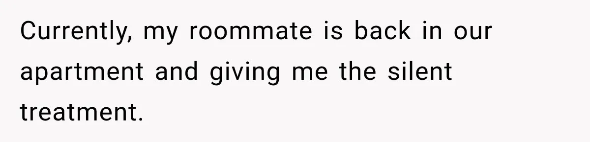 Currently, my roommate is back in our apartment and giving me the silent treatment.