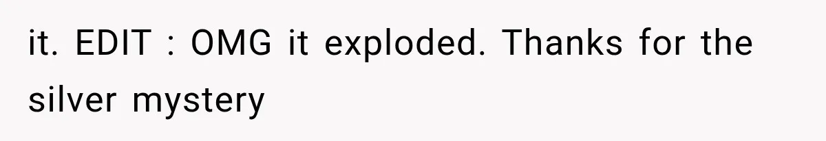 it. EDIT : OMG it exploded. Thanks for the silver mystery