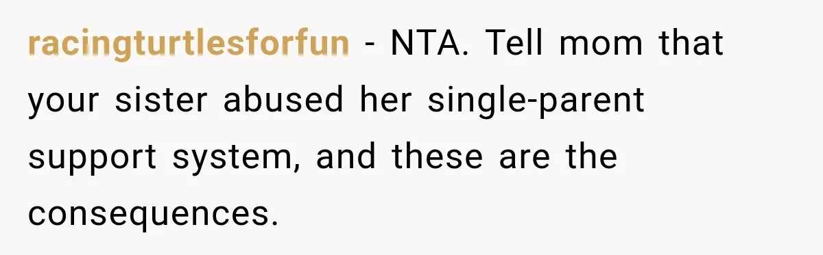 racingturtlesforfun − NTA. Tell mom that your sister abused her single-parent support system, and these are the consequences.
