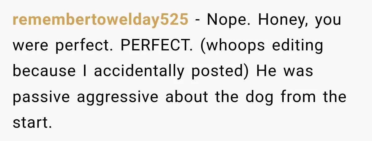 He Wanted A Future Without Her Dog, But She Decided It Would Be Without Him remembertowelday525 − Nope. Honey, you were perfect. PERFECT. (whoops editing because I accidentally posted) He was passive aggressive about the dog from the start.