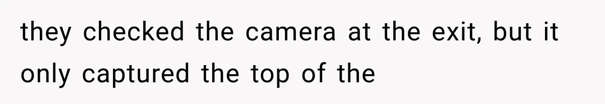 they checked the camera at the exit, but it only captured the top of the