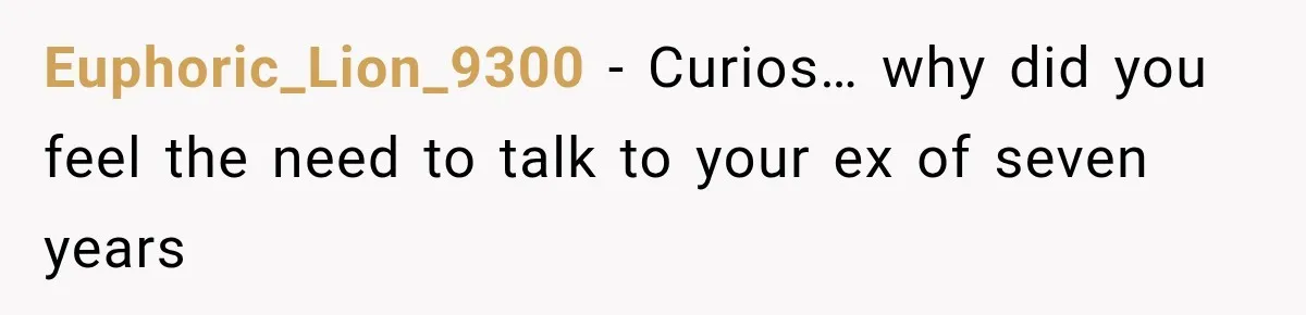 Euphoric_Lion_9300 − Curios… why did you feel the need to talk to your ex of seven years