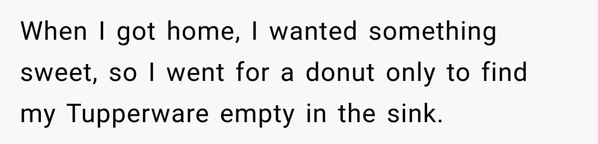 When I got home, I wanted something sweet, so I went for a donut only to find my Tupperware empty in the sink.