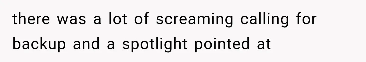 there was a lot of screaming calling for backup and a spotlight pointed at