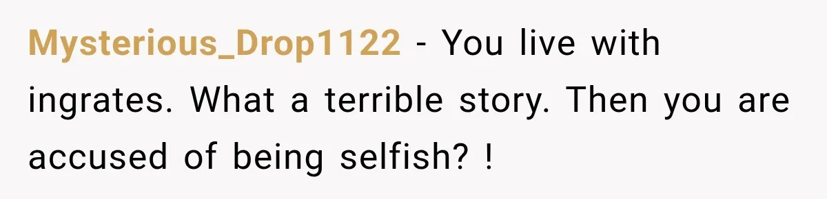 Mysterious_Drop1122 − You live with ingrates. What a terrible story. Then you are accused of being selfish? !