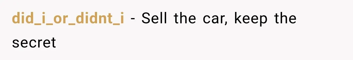 did_i_or_didnt_i − Sell the car, keep the secret