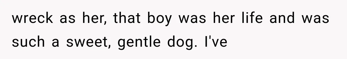 wreck as her, that boy was her life and was such a sweet, gentle dog. I've