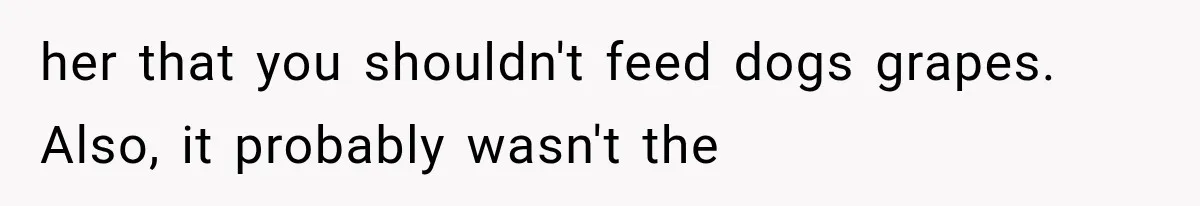 her that you shouldn't feed dogs grapes. Also, it probably wasn't the