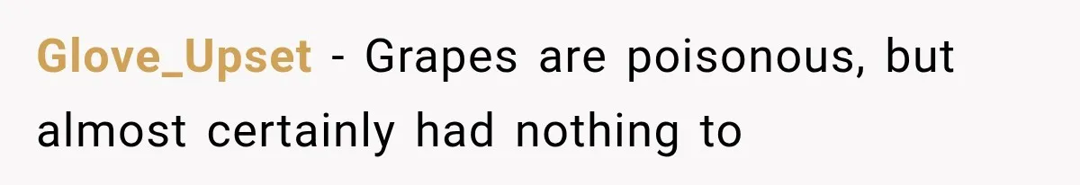 Glove_Upset − Grapes are poisonous, but almost certainly had nothing to