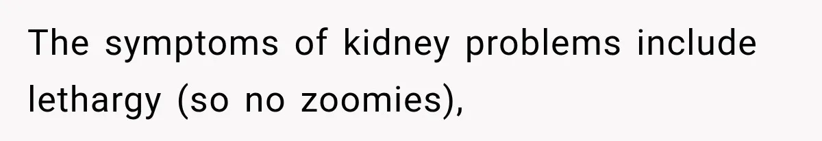 The symptoms of kidney problems include lethargy (so no zoomies),