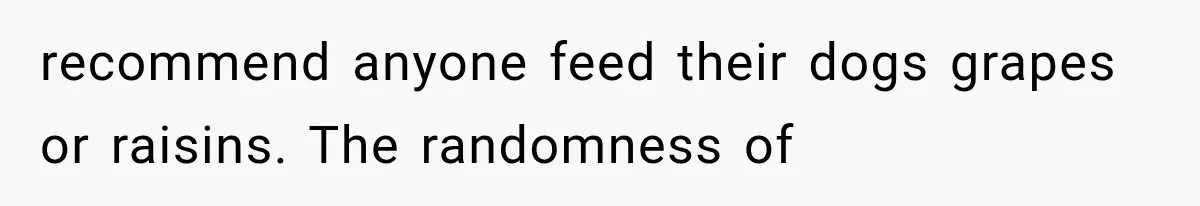 recommend anyone feed their dogs grapes or raisins. The randomness of