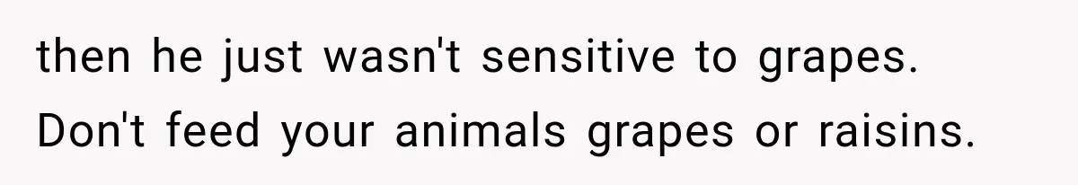 then he just wasn't sensitive to grapes. Don't feed your animals grapes or raisins.