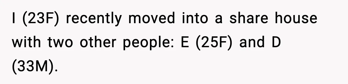 I (23F) recently moved into a share house with two other people: E (25F) and D (33M).