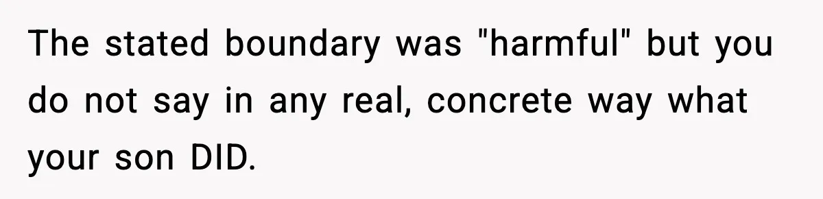 The stated boundary was "harmful" but you do not say in any real, concrete way what your son DID.
