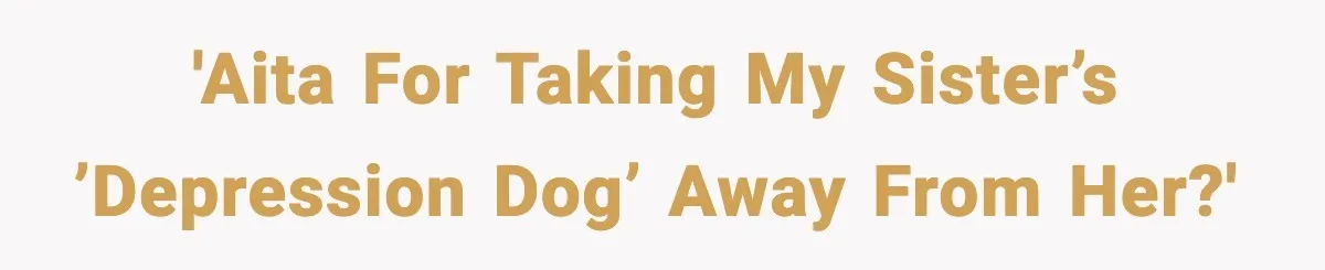 Sister Takes Away Her Depression Dog After Finding It Severely Overweight and Neglected 'AITA for taking my sister’s ’depression dog’ away from her?'