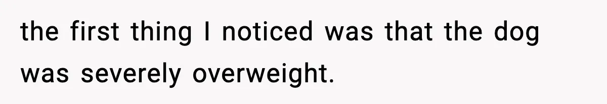 Sister Takes Away Her Depression Dog After Finding It Severely Overweight and Neglected the first thing I noticed was that the dog was severely overweight.